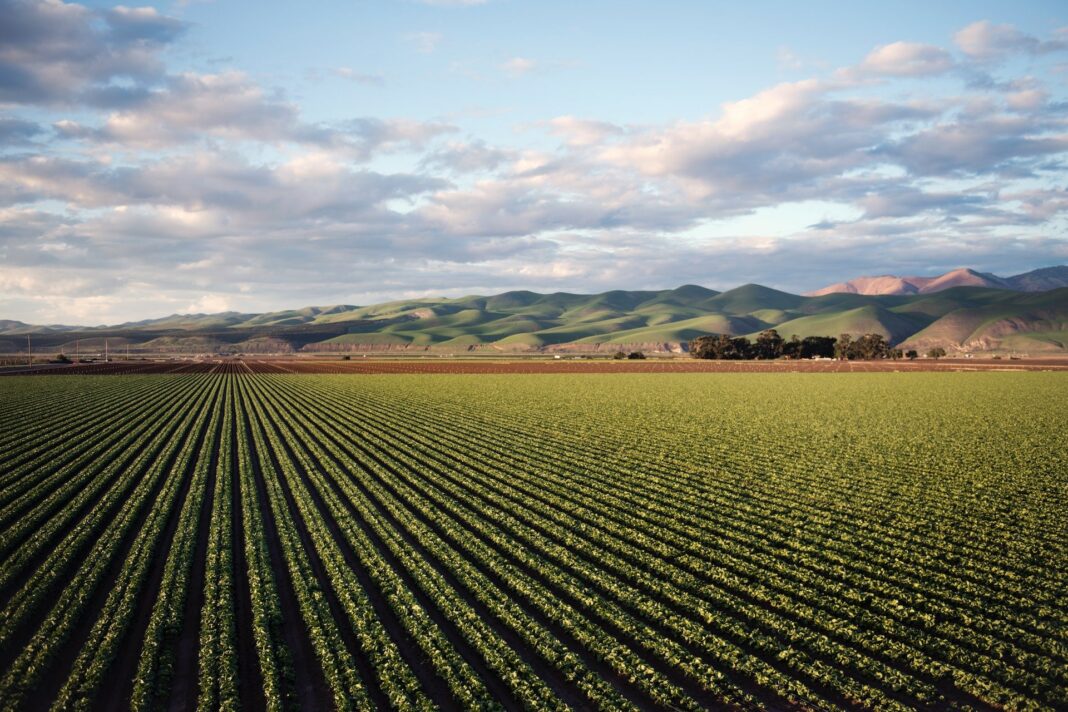 donazione azienda agricola,donare azienda agricola,iap,imprenditore agricolo professionale,giovani agricoltore,esenzione imposte sulla donazione,giovane agricoltore,donare azienda agricola al figlio,commercialista esperto agricoltura,