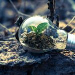 La certificazione ambientale EMAS La certificazione ambientale EMAS