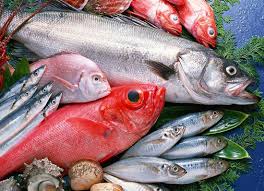 Bonus fiscali pesca 2017 : le “istruzioni” per gli imprenditori ittici, i dipendenti e i soci di cooperative Bonus fiscali pesca 2017 : le “istruzioni” per gli imprenditori ittici, i dipendenti e i soci di cooperative
