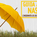 La naspi La naspi