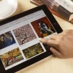 Il collezionista che vende occasionalmente on – line (su ebay, o su aste on line et similia) opere d'arte, deve dichiarare al Fisco i proventi incassati? Se si, come verranno tassati?