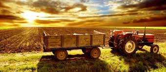 Guida al regime fiscale più conveniente e finanziamenti per le aziende agricole BIO Guida al regime fiscale più conveniente e finanziamenti per le aziende agricole BIO