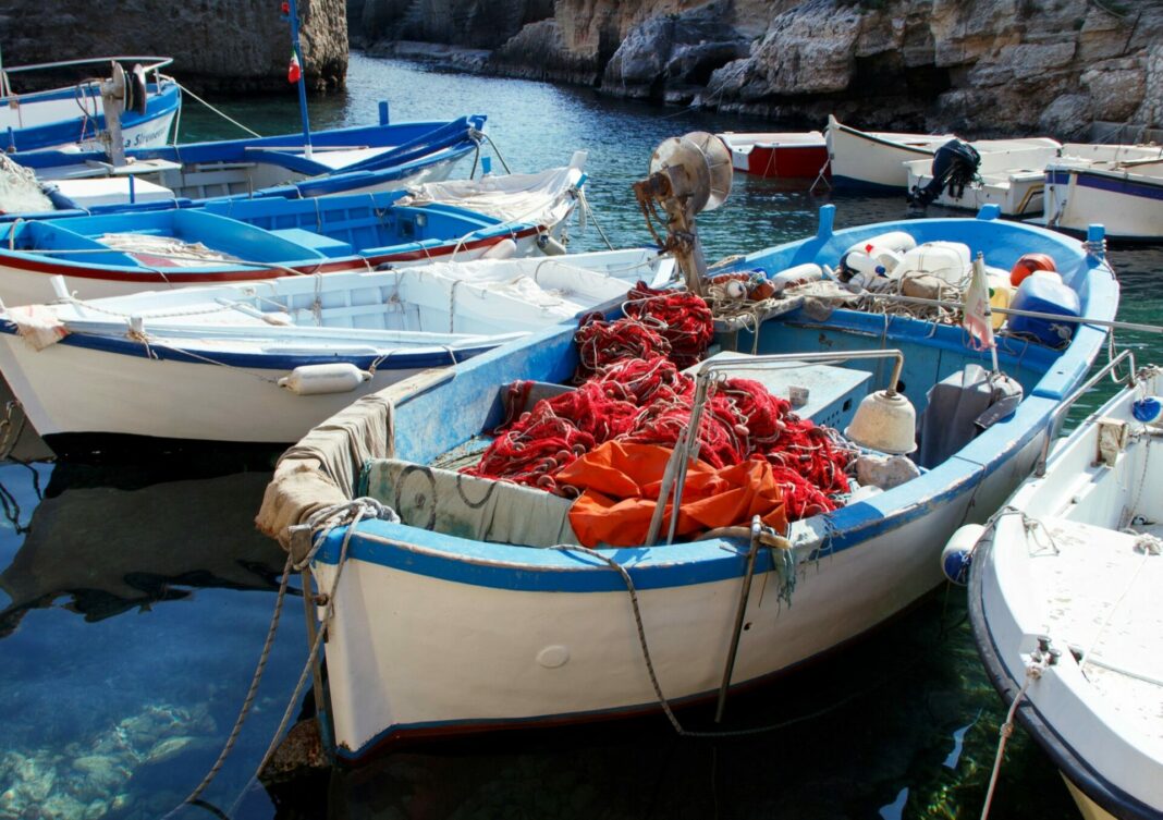 La tassazione del reddito di impresa nell’attività di pesca costiera