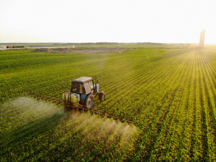 Tractor sprays pesticides on corn fields at sunset