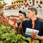 garden designer,garden,designer,designer esterni,