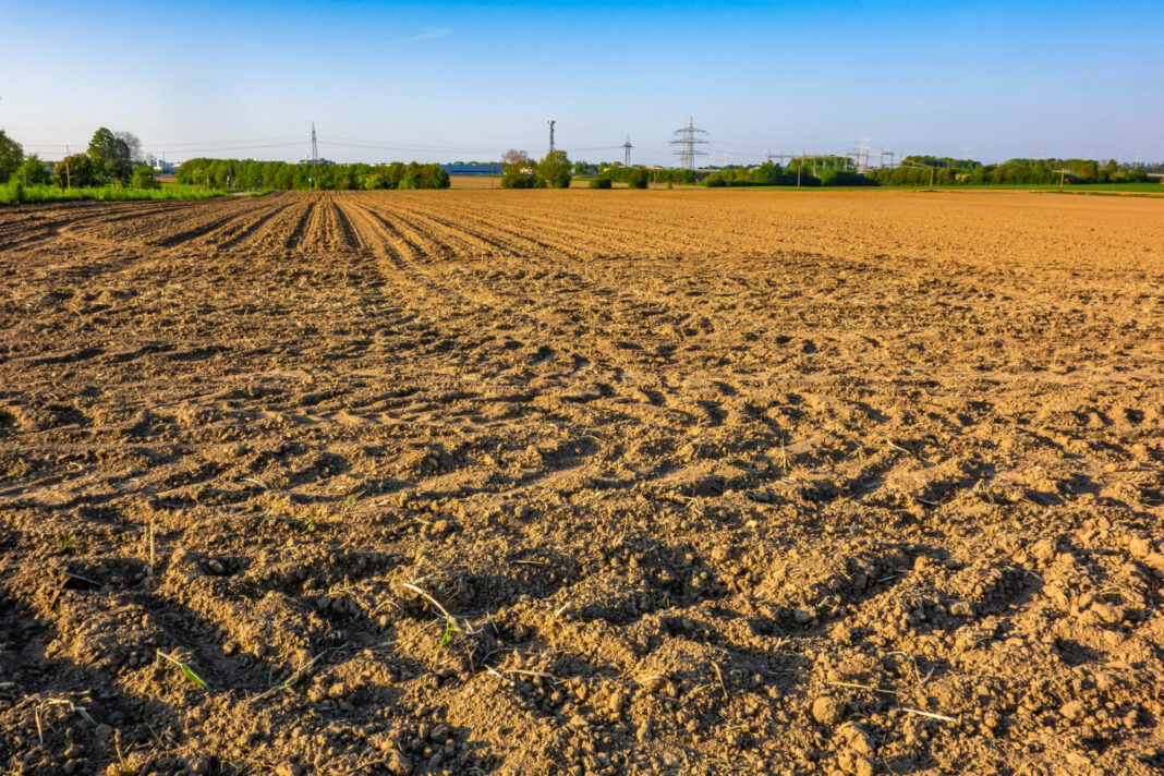 Terreni agricoli incolti,Recupero terreni agricoli incolti,Normativa su terreni incolti,Dimensione del fenomeno incolto,Cause dell'incolto,Impatti dell'incolto,Soluzioni per il recupero