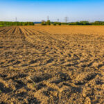 Terreni agricoli incolti,Recupero terreni agricoli incolti,Normativa su terreni incolti,Dimensione del fenomeno incolto,Cause dell'incolto,Impatti dell'incolto,Soluzioni per il recupero
