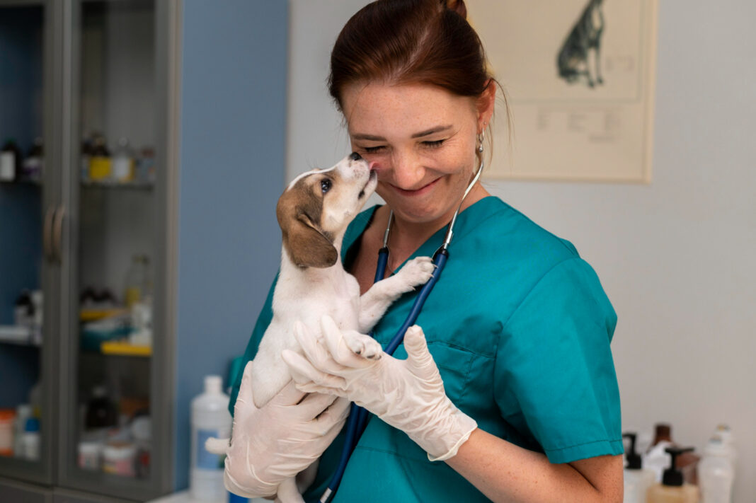 Detraibilità spese veterinarie,Dichiarazione dei redditi spese veterinarie,Benefici fiscali per animali domestici,Detrazione fiscale cure animali,Normative fiscali spese veterinarie,Documentazione spese veterinarie detrazione,Limiti di spesa cure veterinarie,Spese mediche animali domestici detraibili,