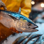 Bonus pescaIncentivi fiscali Pesca