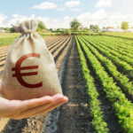 Agricoltura: 18 milioni di euro di fondi - Commercialista.it Agricoltura: 18 milioni di euro di fondi - Commercialista.it