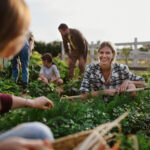 Redditi SC: bonus agricoltori under 41 - Commercialista.it