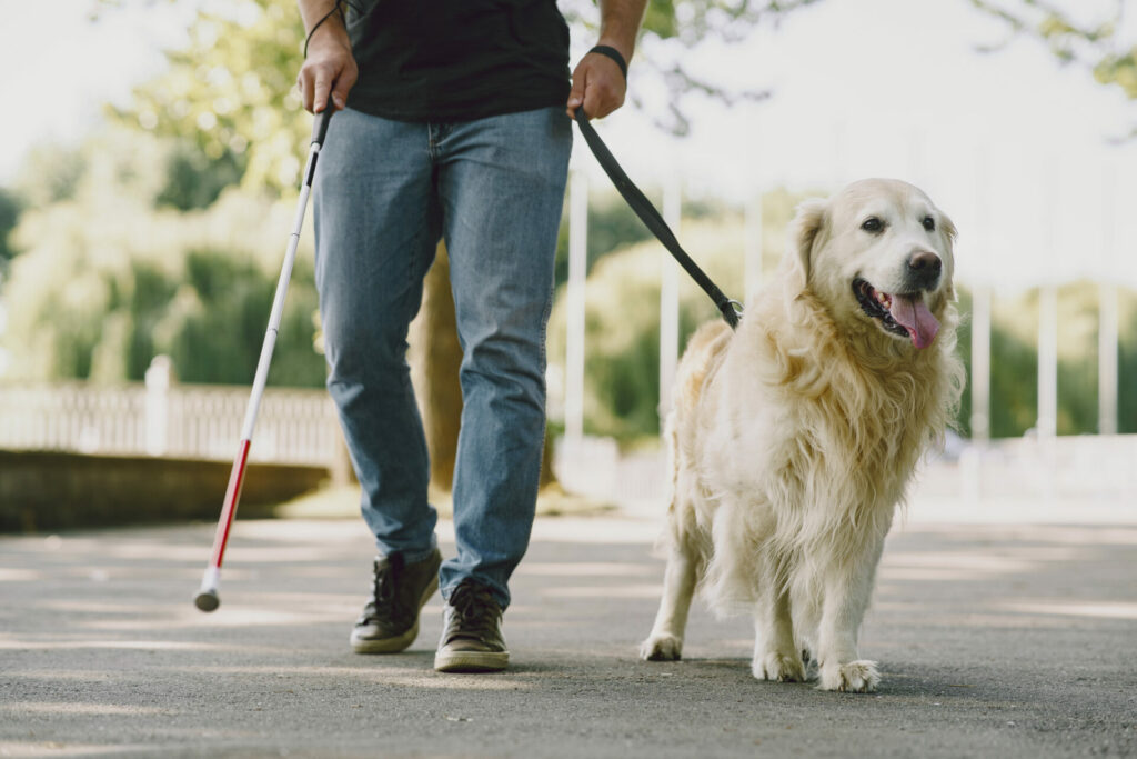 Detrazioni Fiscali per il Cane Guida - Commercialista.it
