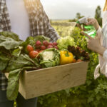 Coltivaitalia:1 miliardo per l’agricoltura-Commercialista.it