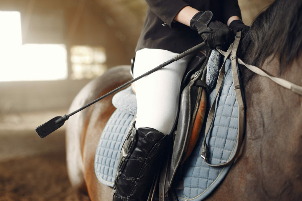 Compensi sport equestri e fisco 2025 - Commercialista.it