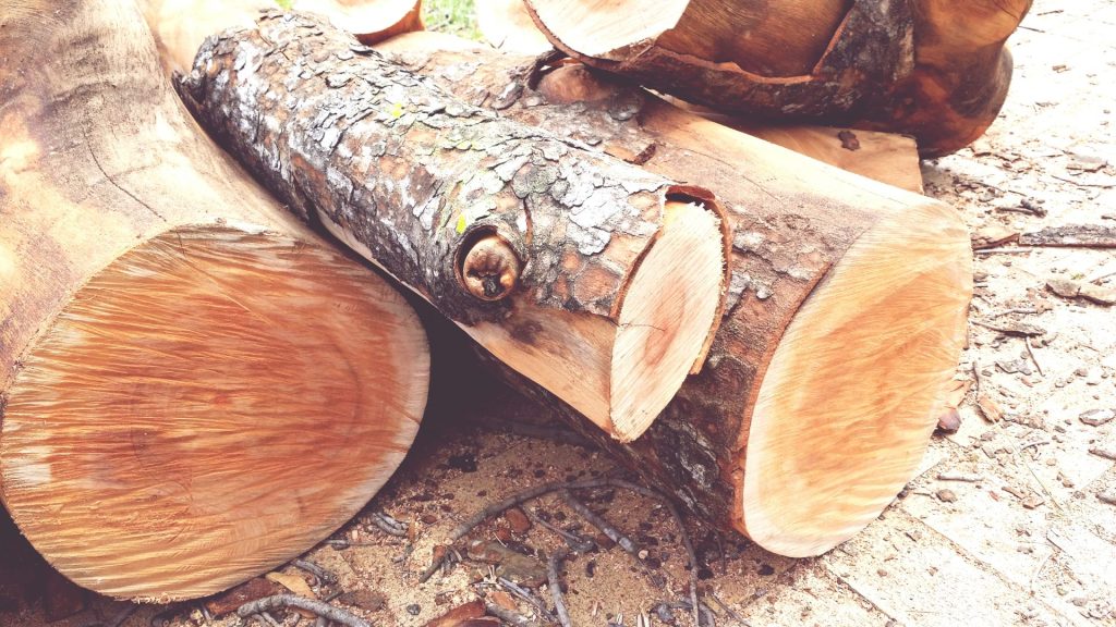 Compensazione IVA settore legno - Commercialista.it