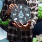 Bando agricoltura 2025-2026 - Commercialista.it