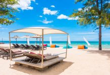 Concessioni balneari, la sentenza del Consiglio di Stato 1324/2026 può cambiare le regole su proroghe, opere demaniali e indennizzi