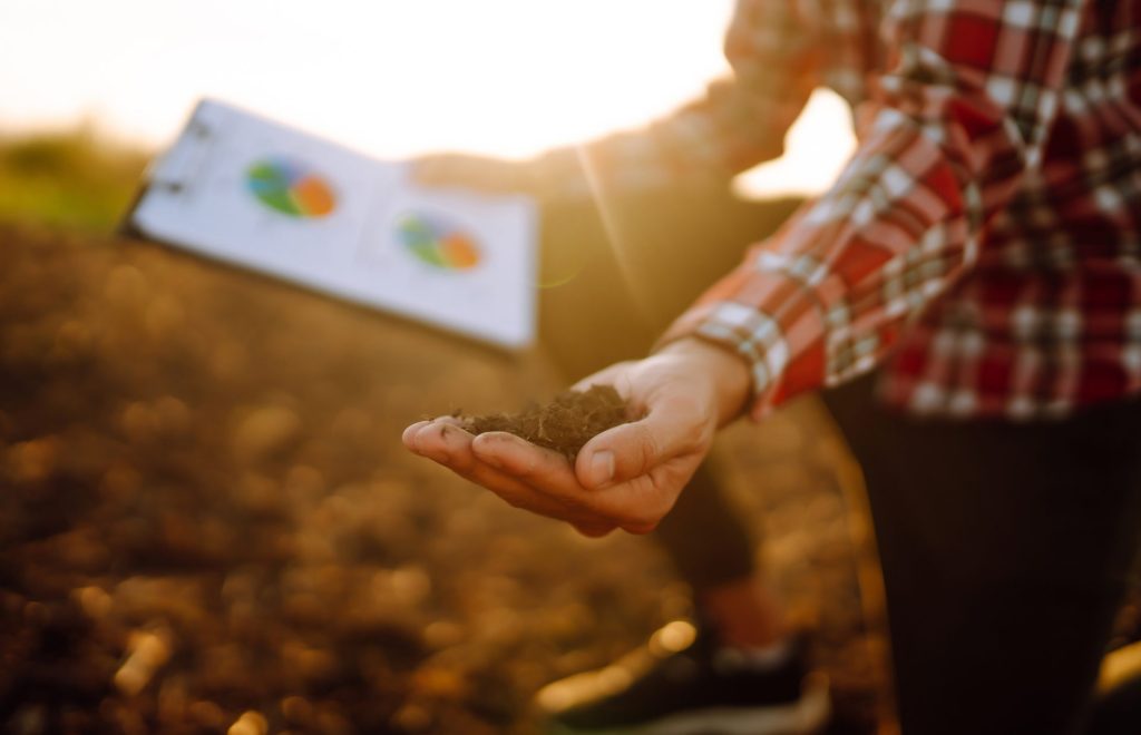 Fabbricati agricoli e decadenza fiscale - Commercialista.it
