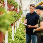 Bonus formazione giovani agricoltori 2025- Commercialista.it Bonus formazione giovani agricoltori 2025- Commercialista.it